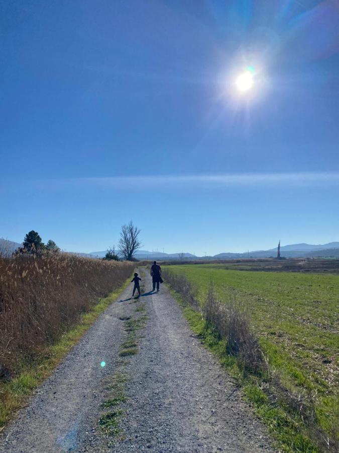 莫纳奇尔Casita Rural La Rosa De La Huerta Con Chimenea Interior公寓 外观 照片