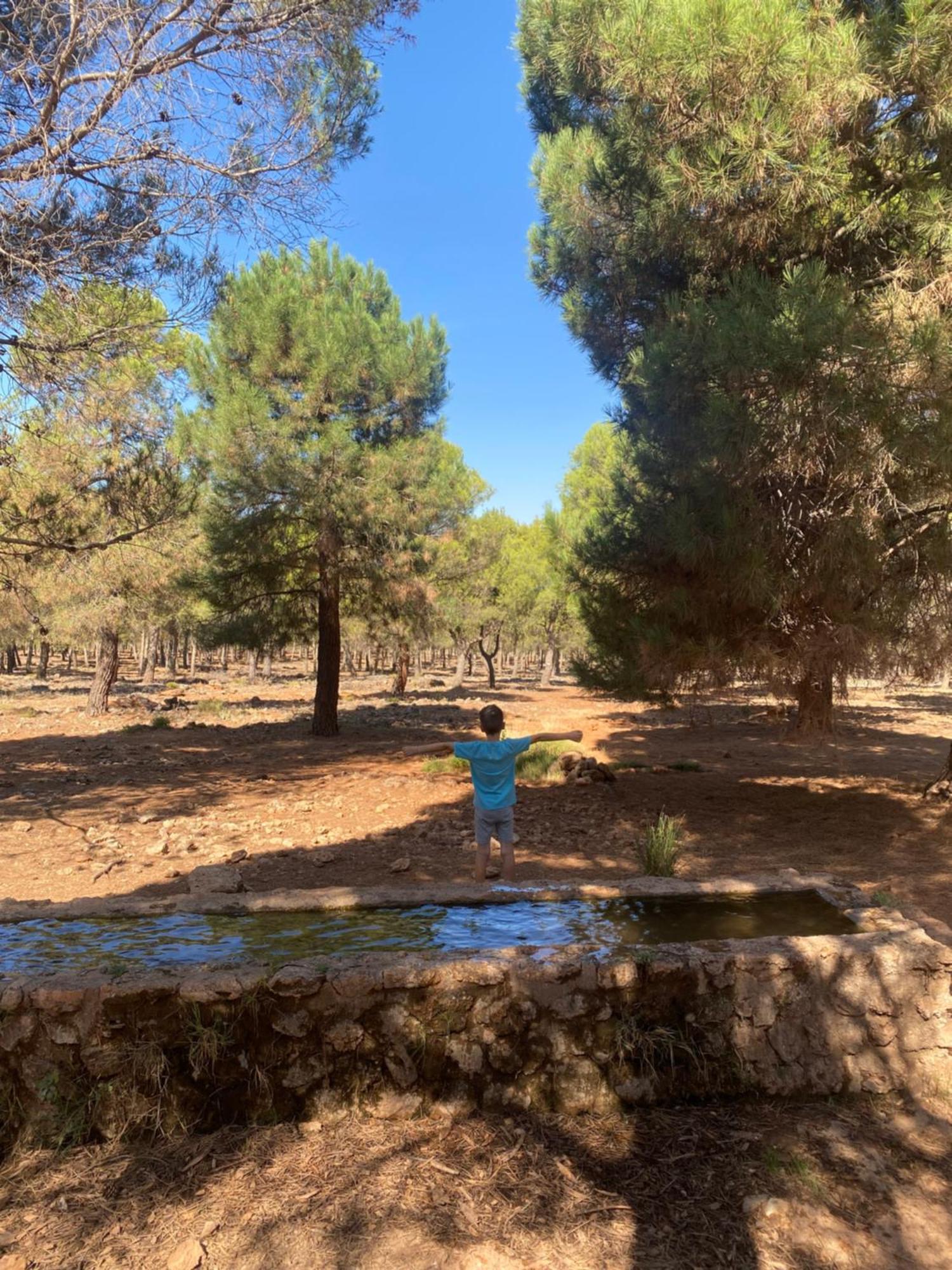 莫纳奇尔Casita Rural La Rosa De La Huerta Con Chimenea Interior公寓 外观 照片